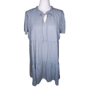 Altar'd State Short Sleeve Swiss Dot Tiered Swing Dress Blue Sz Lg Cottagecore